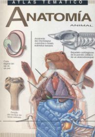 thumbnails/65b2d5bc09262.jpg